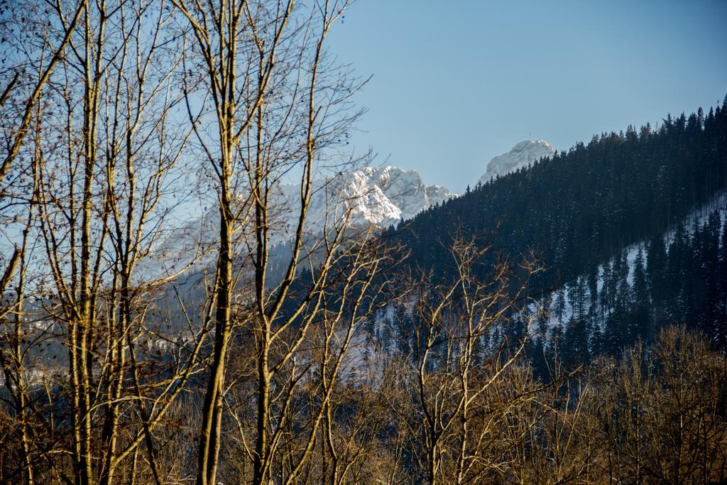Dolina Resort Zakopane Kościelisko Zimmer foto